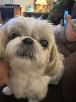 IMG_2267.jpeg