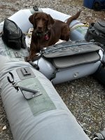 IMG_2689.jpeg