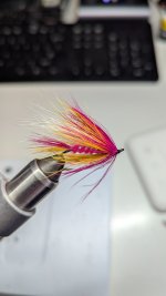 PXL_20250310_000250729.jpg