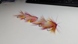 PXL_20250309_235411038.jpg