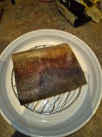 20250310_084449.jpg
