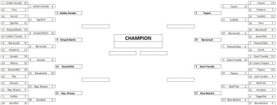 Bracket 2nd Round.jpg Bracket 2nd Round.jpg
