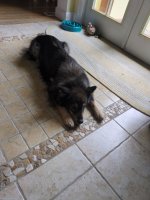 image000000.jpeg