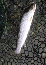 IMG_1192.jpeg IMG_1192.jpeg