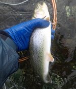 IMG_1190.jpeg IMG_1190.jpeg