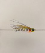 IMG_1302.jpeg