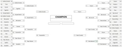 Bracket Final4.jpg Bracket Final4.jpg
