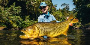golden dorado.jpg