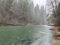 IMG_4347.jpeg