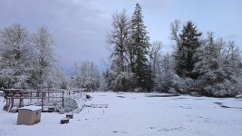 20250314_072401.jpg 20250314_072401.jpg