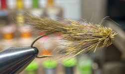 IMG_1461.jpeg