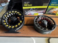 IMG_3695.jpeg