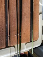 IMG_3691.jpeg