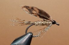 March Brown 1080.JPG