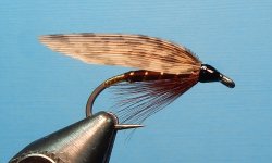 American March Brown - Bergman 1080.JPG