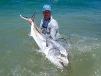 blog-May-7-2019-9-roosterfish-on-the-fly-Jeff-Currier.jpg