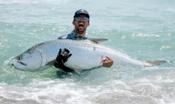 big-tarpon.webp big-tarpon.webp