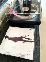 IMG_5934.jpeg