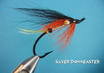 Silver Downeaster.jpg