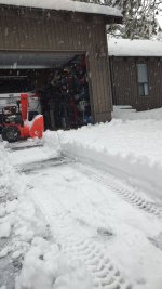IMG_20250316_095617898.jpg