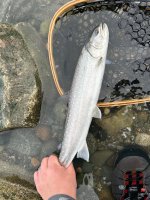 IMG_2016.jpeg IMG_2016.jpeg