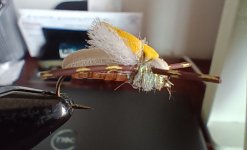 Unsinkabeetle_2.jpg