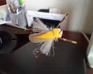 Unsinkabeetle.jpg