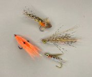 IMG_1393.jpg