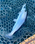 IMG_0402.jpeg