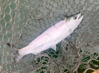 IMG_0400.jpeg