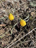 IMG_5208.jpeg