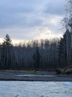 20250317_085251.jpg