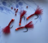 IMG_5210.jpeg