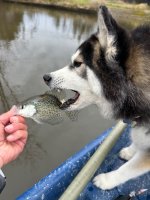 IMG_5884.jpeg