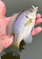 IMG_5900.jpeg