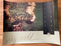 IMG_0376.jpeg