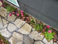 IMG_3628.jpeg IMG_3628.jpeg