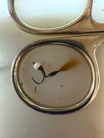 IMG_0371.jpeg