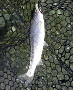 IMG_1318.jpeg