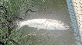 IMG_0435.jpeg