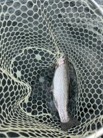 IMG_0594.jpeg