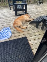 IMG_5100.jpeg IMG_5100.jpeg