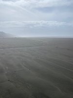IMG_5093.jpeg IMG_5093.jpeg