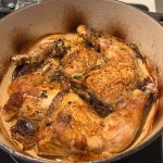 IMG_3655.jpeg