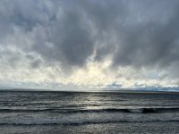 IMG_1338.jpeg