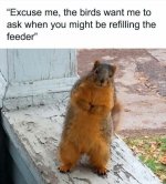 IMG_1329.jpeg
