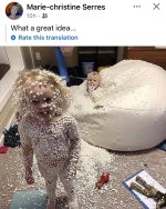 IMG_7107.jpeg