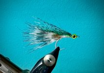 IMG_0461.jpeg
