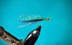 IMG_0457.jpeg