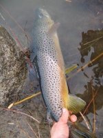 IMG_2135~3.jpg IMG_2135~3.jpg